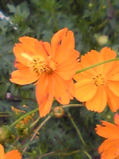 ���U������