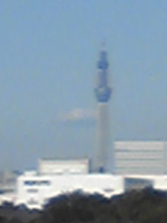 ��������X�J�C�c���[