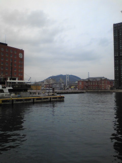 ��i�`���̂Q