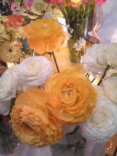 ���i���L�����X