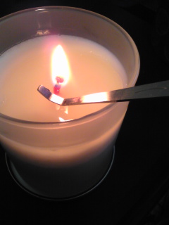 �E�B�b�N�f�B�b�p�[