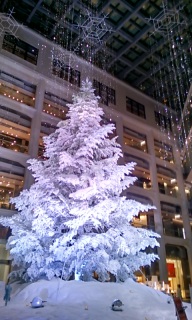 KITTE �̃c���[���N���L���C