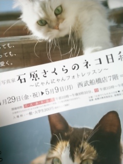 GW�������߂̃l�R�W